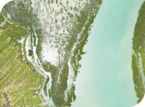 Aerial Surveying03 Aerial Surveying